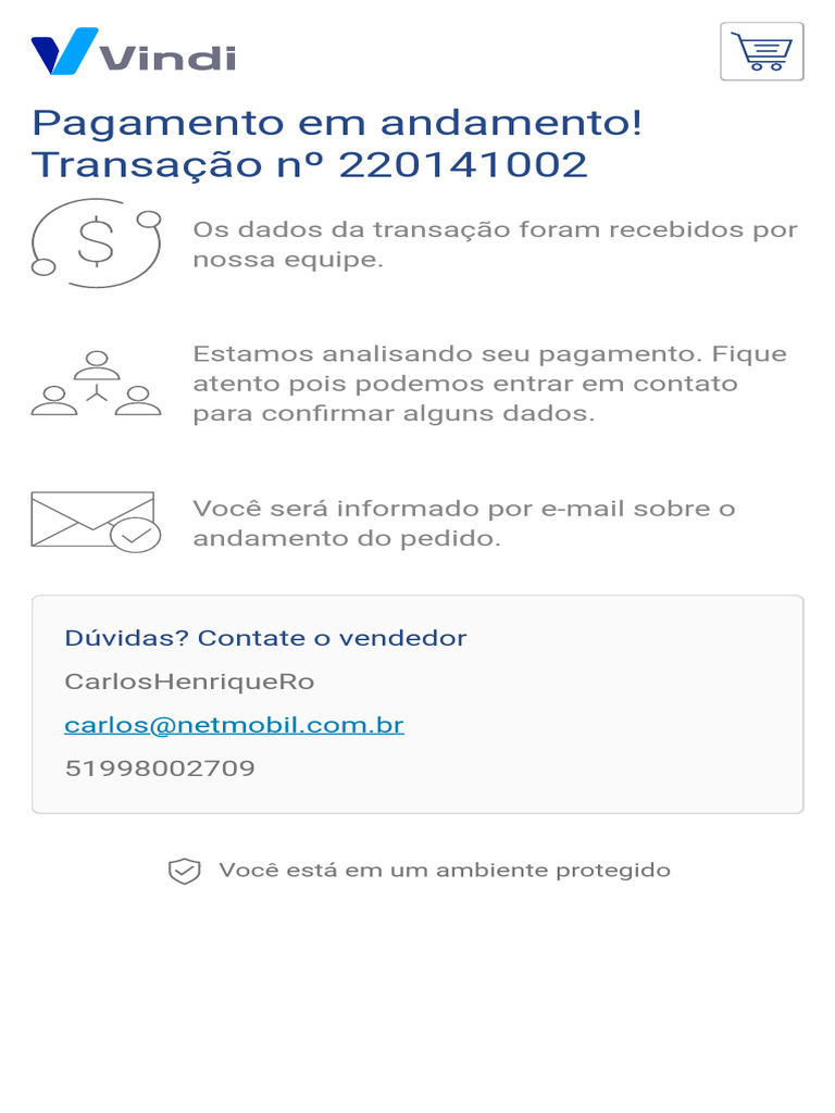 Análise de Pagamento Vindi Intermediador | PDF