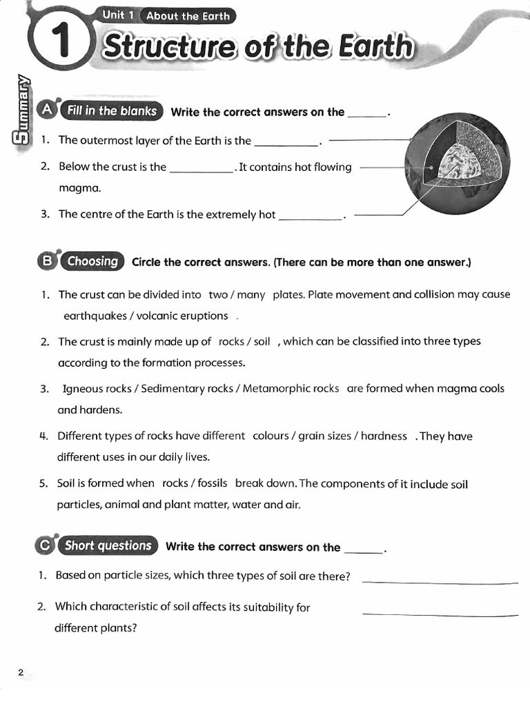P4 Science WB 4A | PDF