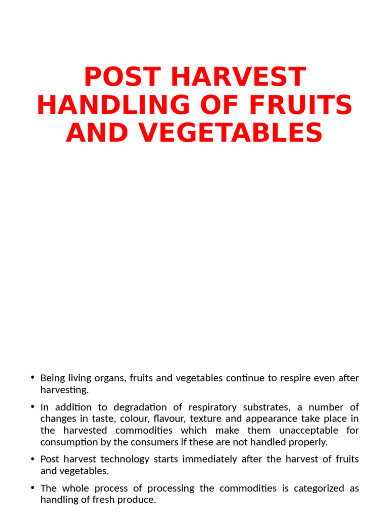 Post Harvest Handling of Fruits & Vegetables | PDF | Vegetables | Onion