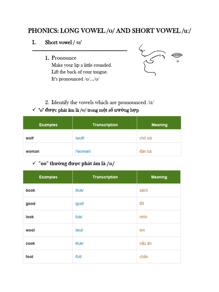 PHONICS Short and Long u Sound | PDF