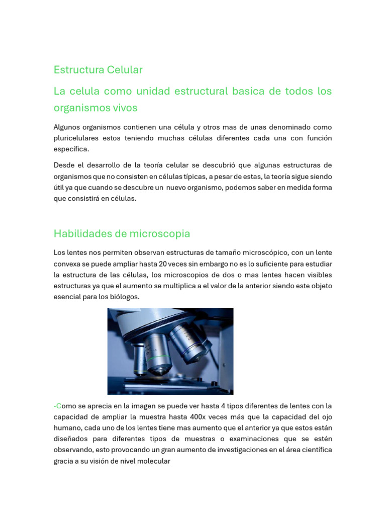 Estructura Celular | PDF | Biología Celular) | Citoplasma