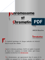 Chromosome Et Chromatine