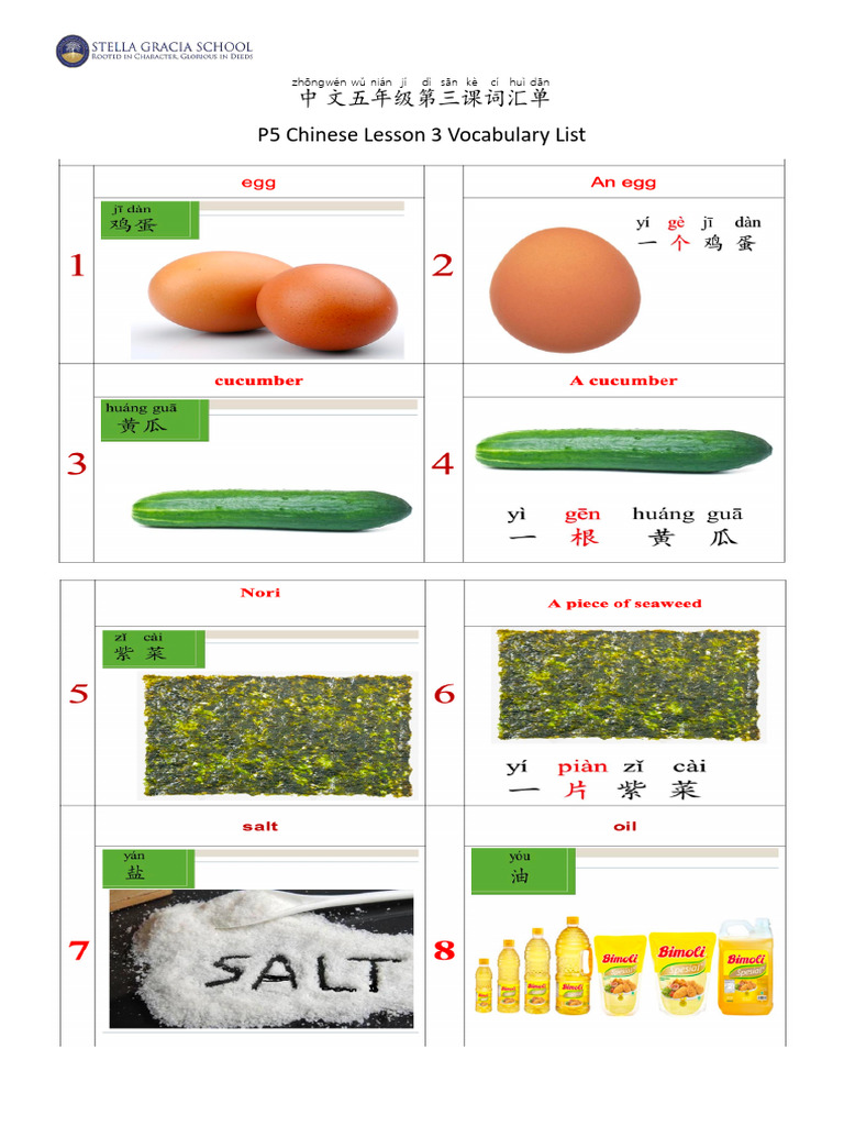 P5 Chinese Lesson 3 Vocabulary List | PDF