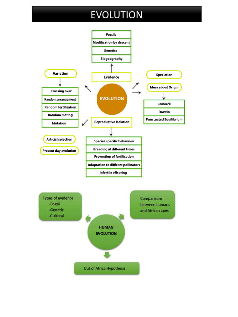 Evolution Part 1 | PDF