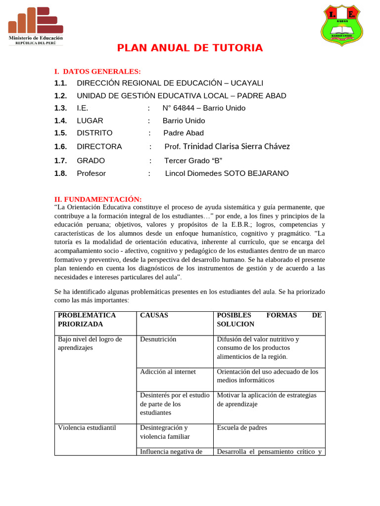 Plan Anual de Tutoría 2023 en Ucayali | PDF | Maestros | Plan de estudios