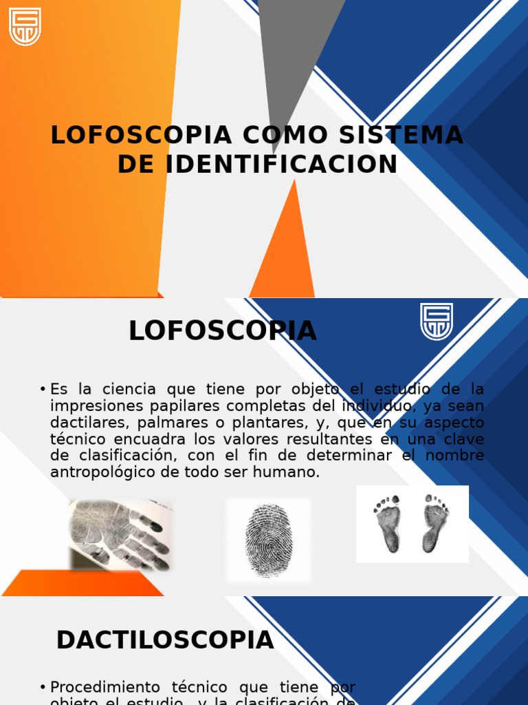 Lofoscopia y sus Métodos de Identificación | PDF | Huella dactilar ...