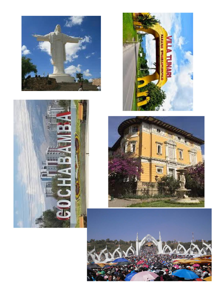 Cocha | PDF