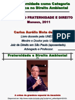 A fraternidade como categoria jurídica no Direito Ambiental (1)