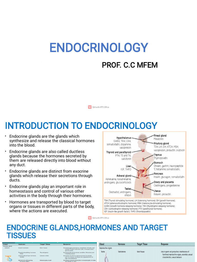 Overview of Endocrine Functions | PDF | Adrenal Gland | Thyroid