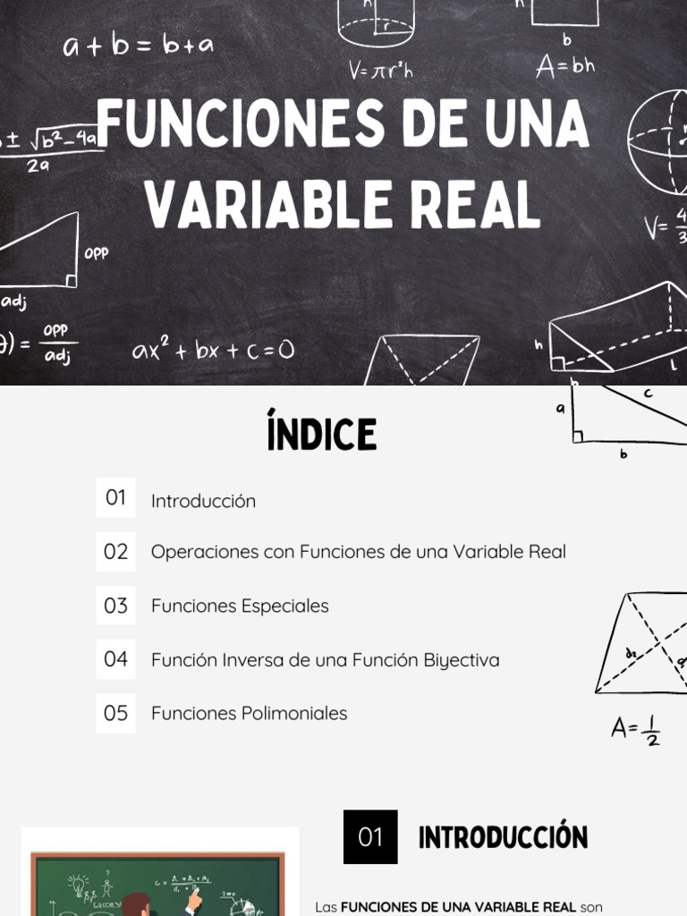 Funciones de una Variable Real: Guía Completa | PDF | Función ...
