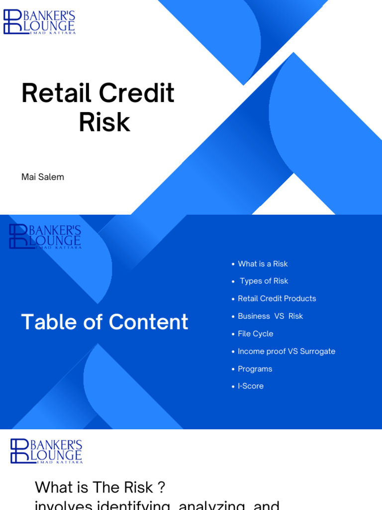 Retail Credit Risk Management Overview | PDF