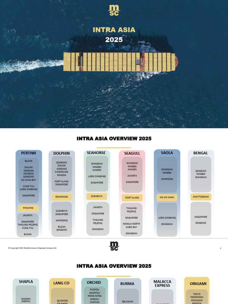 Intra Asia Routes Overview 2025 | PDF