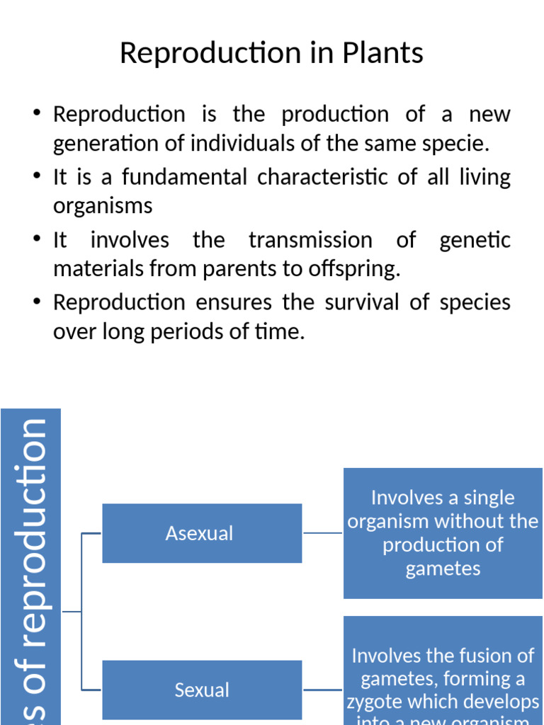 Plant Reproduction: Asexual & Sexual Methods | PDF | Plant Reproduction ...