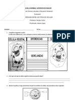 Evaluacion 4 Tipos de Celulas