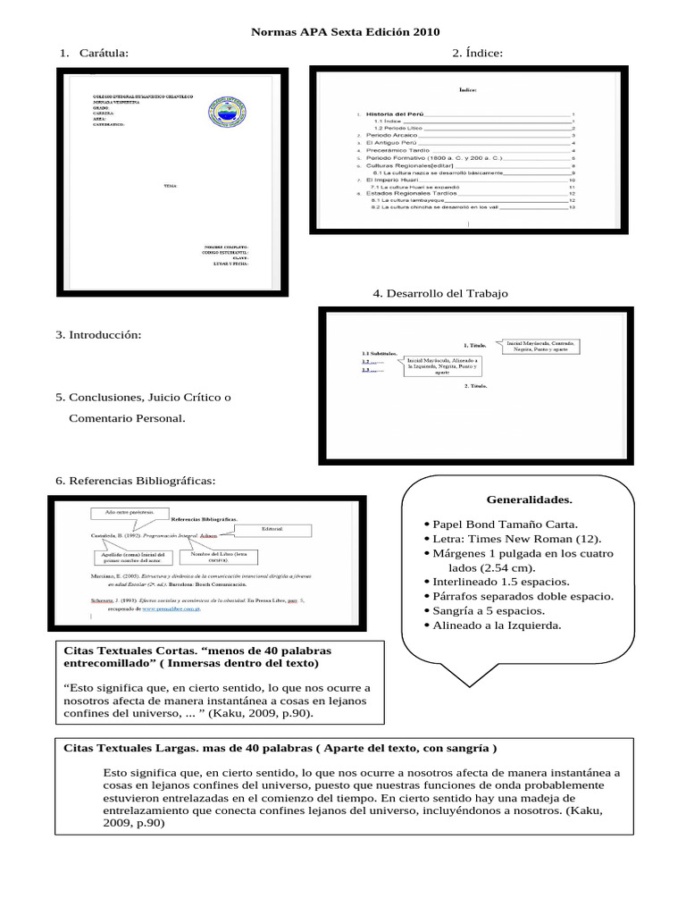 Normas Appa | PDF
