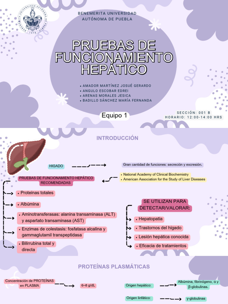 Pruebas de Función Hepática en Laboratorio | PDF | Transaminasa ...