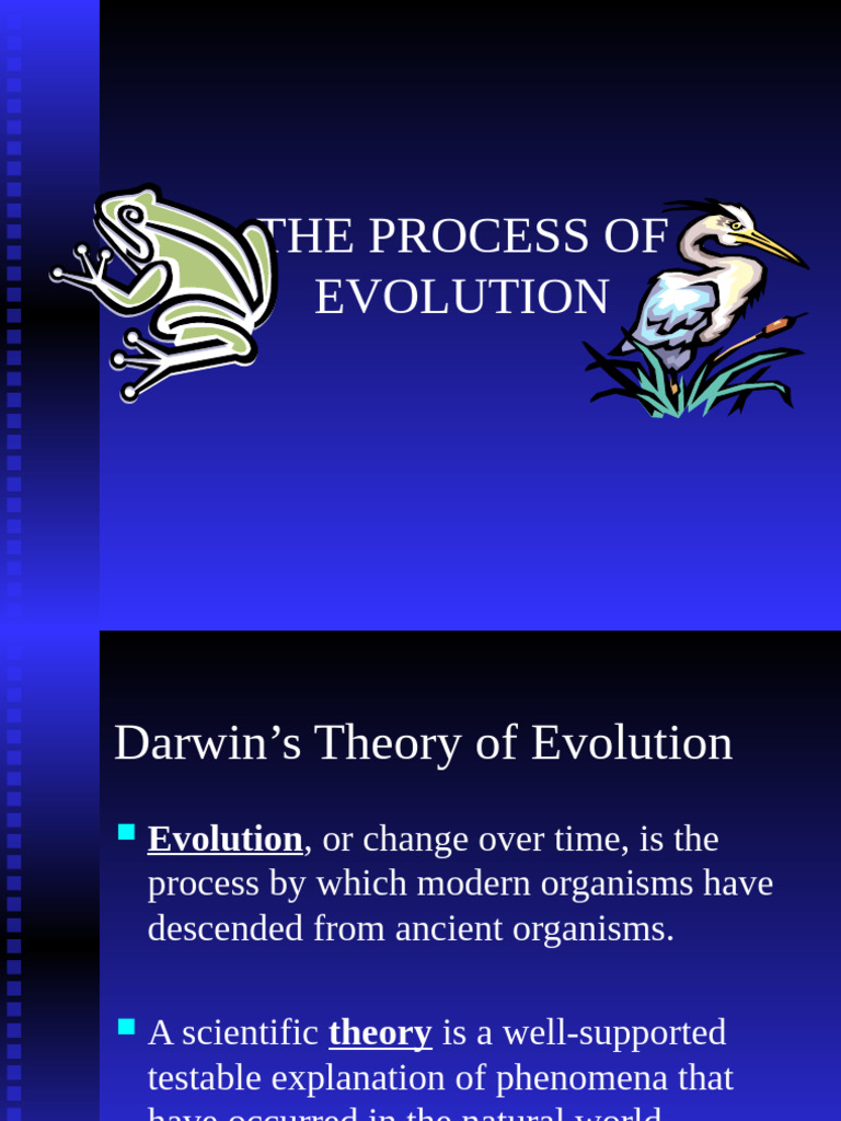 Darwin's Evolutionary Theory Explained | PDF | Natural Selection ...
