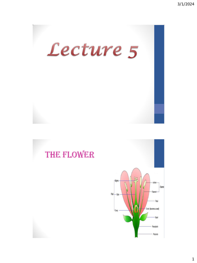 Flower Structure and Clove Analysis | PDF | Flowers | Petal