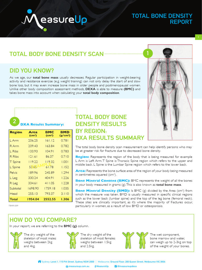Your DEXA Report Explained | PDF | Adipose Tissue | Body Mass Index