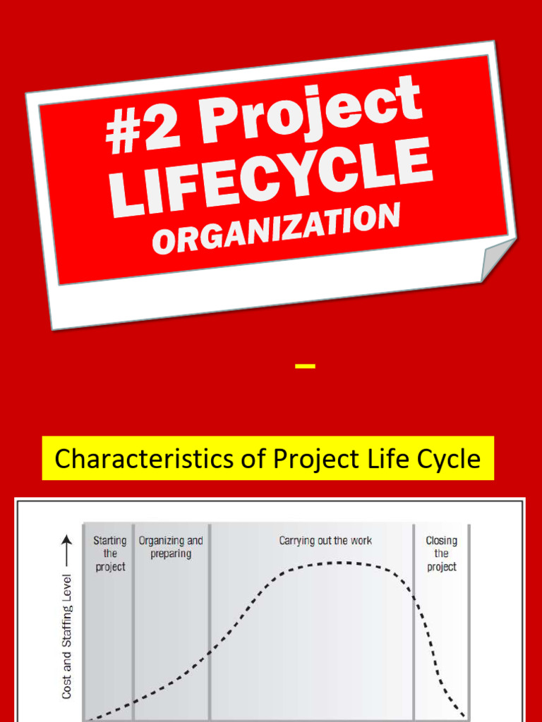 03 Project+Introduction+ +3.1 | PDF | Project Management | Systems ...