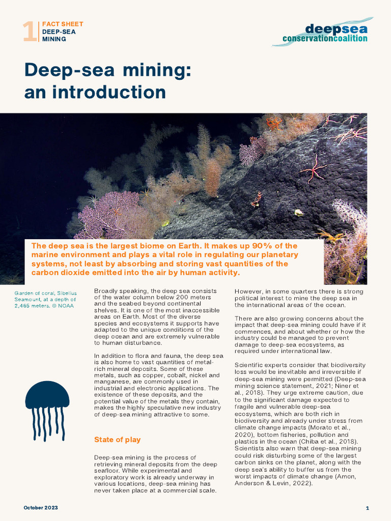 Deep-Sea Mining: Risks and Regulations | PDF | Seabed | Deep Sea