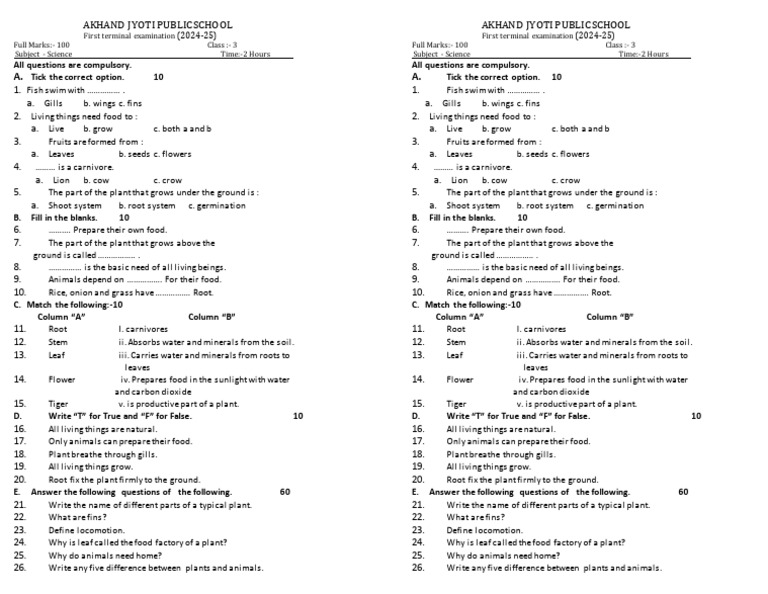Class 3 Science Exam Paper 2024-25 | PDF | Foods | Leaf