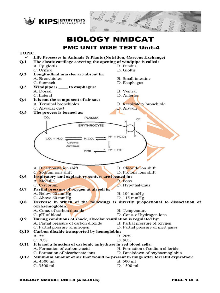 BIOLOGY UNIT - 04 Life Processes in Animals & Plants (Nutrition ...
