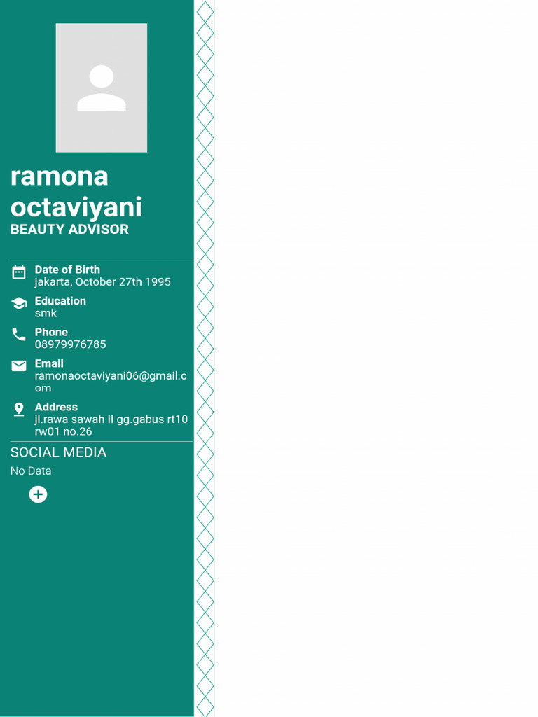 CV Mona | PDF