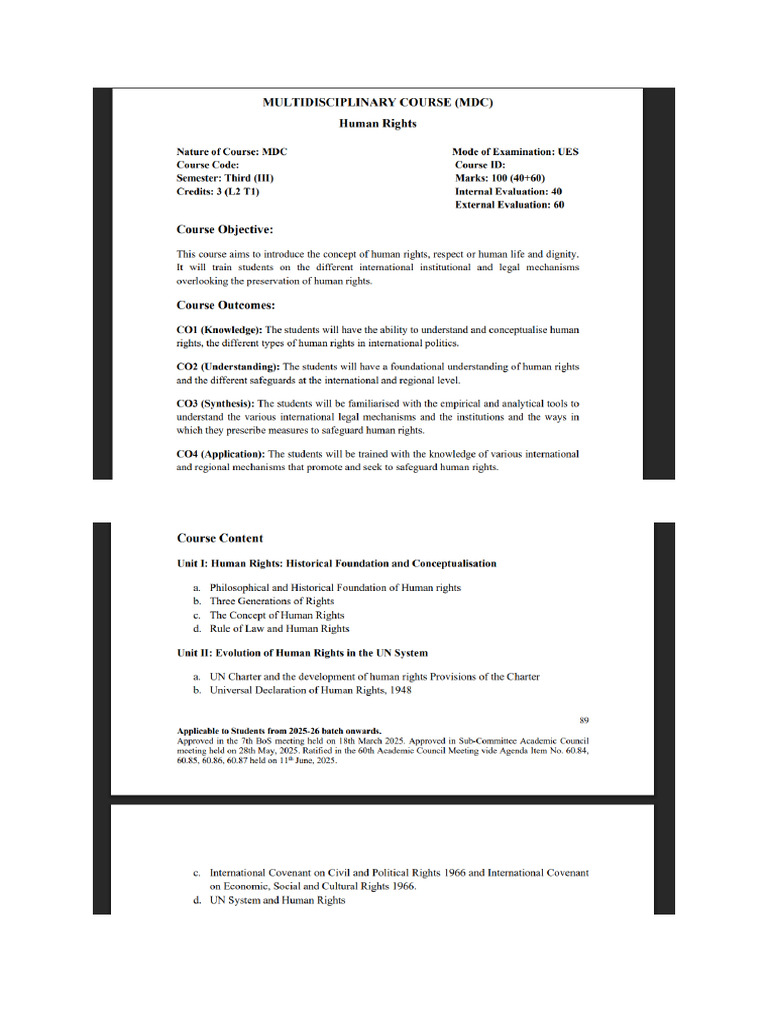 Human Rights | PDF