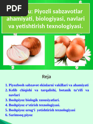 Meva va sabzavotlar porno kategoriyalari