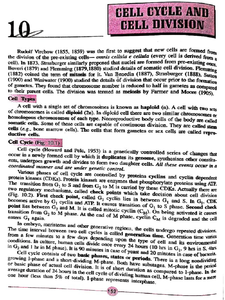 Overview of Cell Cycle and Division | PDF | Mitosis | Cell Anatomy