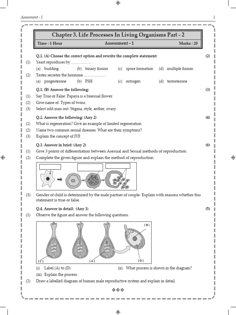 Chapter - 3 - Life Processes in Living Organisms Part - 2 - Assessment ...