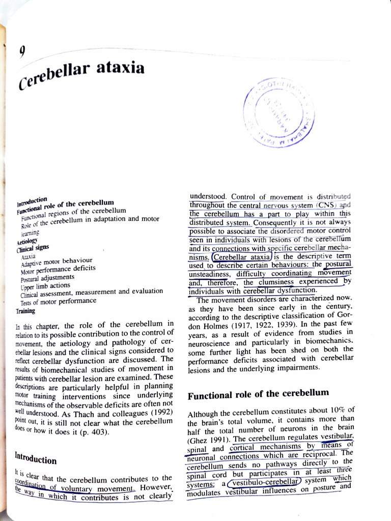 Understanding Cerebellar Ataxia | PDF | Cerebellum | Cerebral Cortex