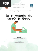 5 Momentos Clave del Lavado de Manos | PDF | Lavado de manos | Higiene