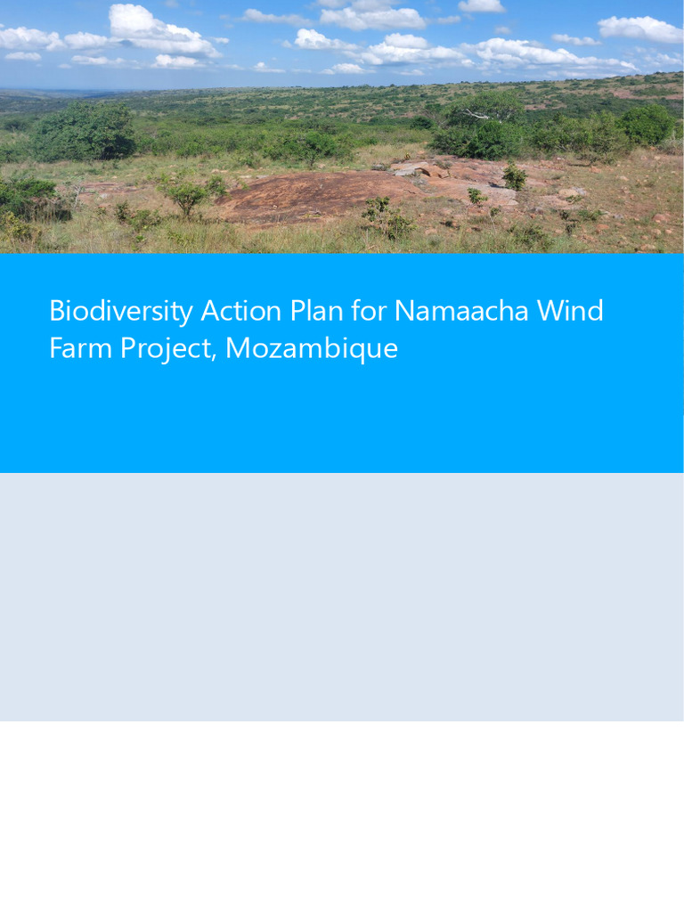 Namaacha BAP Draft 3 - 20240321 | PDF | Environmental Impact Assessment ...