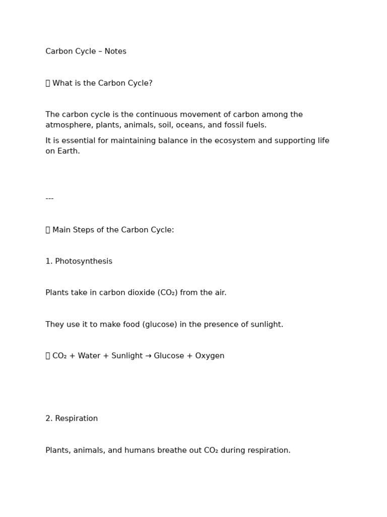 Understanding the Carbon Cycle Basics | PDF