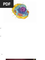 Animal Cell Structure Diagram | PDF