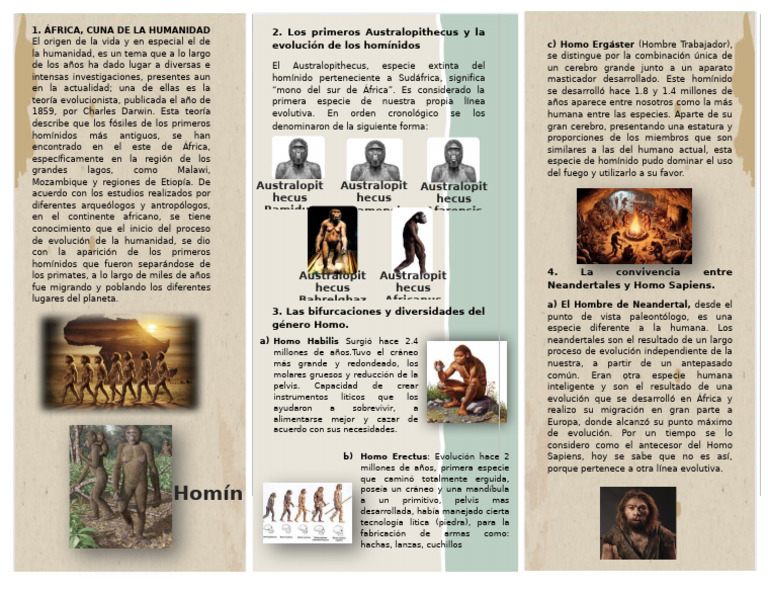 Evolución de La Especie Humana | PDF | Homo | Humano