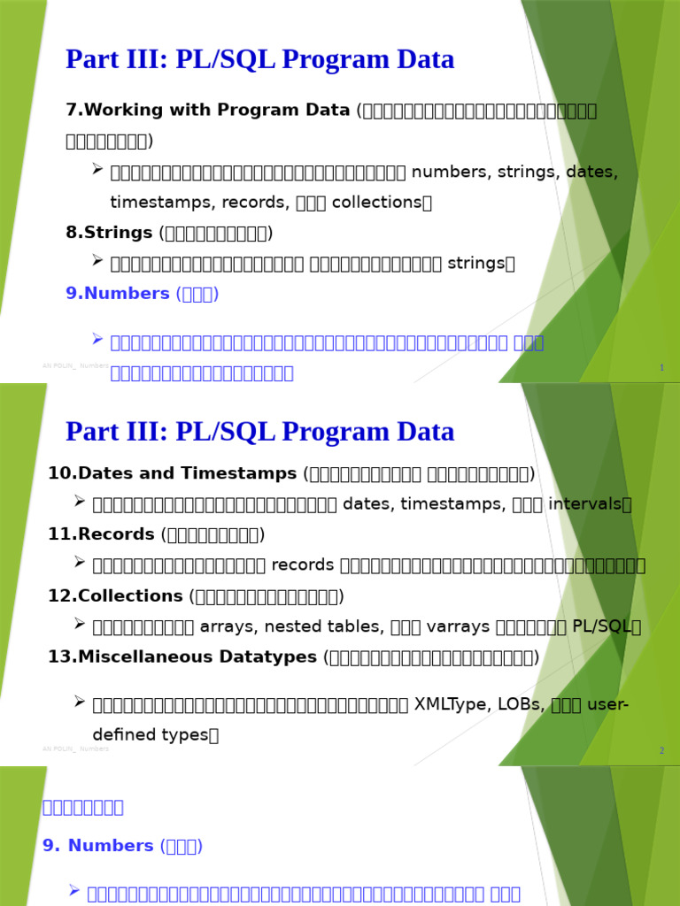 Oracle Data Chapter 9 | PDF