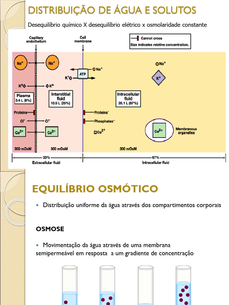 Equilíbrio Osmótico e Tonicidade Celular | PDF | Osmose