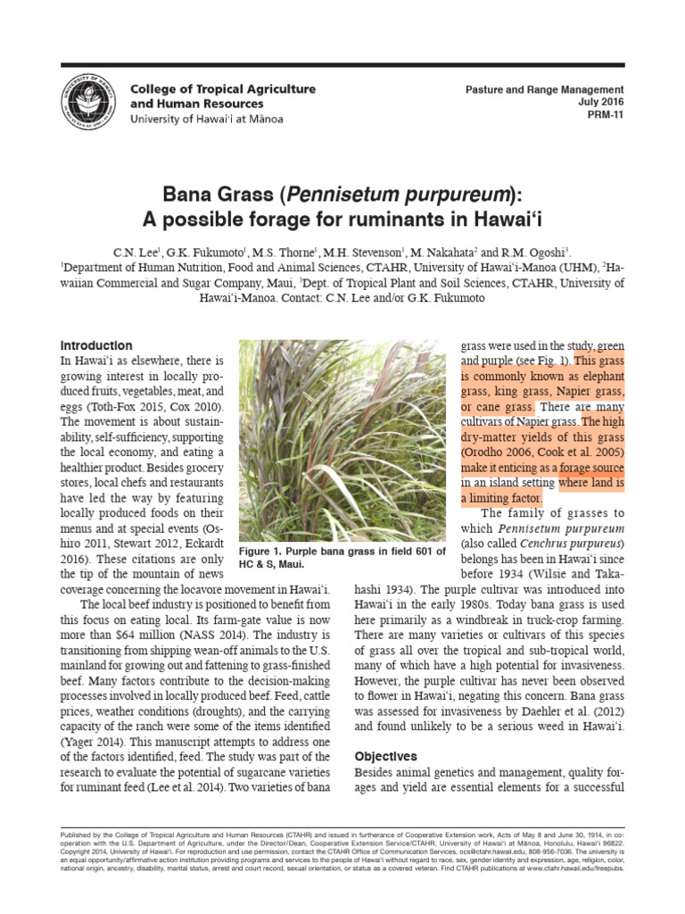 Bana Grass as Ruminant Forage in Hawaii | PDF | Agriculture