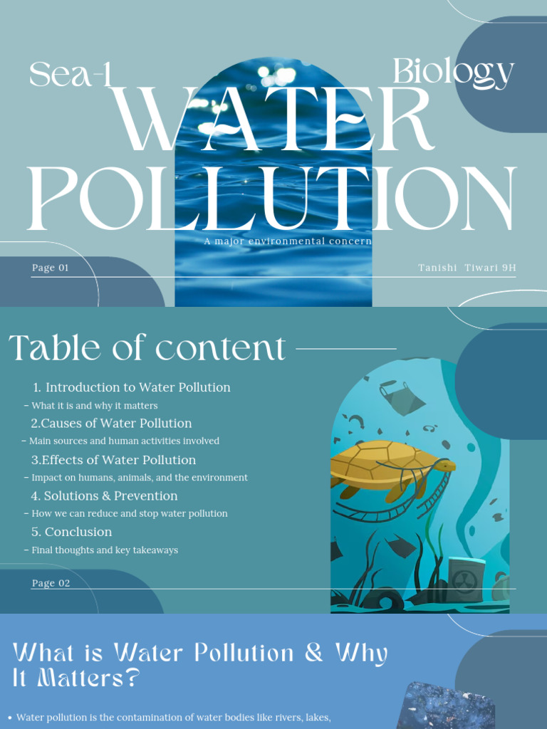 Understanding Water Pollution: Causes & Effects | PDF | Water Pollution ...