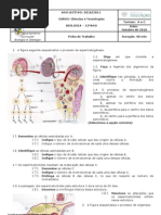 Reprodução - exercícios de revisão