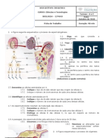 Reprodução - Exercícios de Revisão