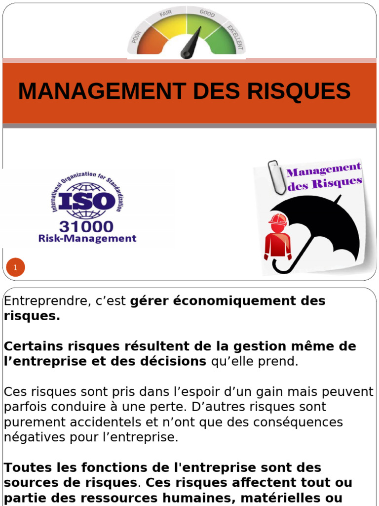 Gestion des Risques en Entreprise | PDF | Risque | Gestion des risques