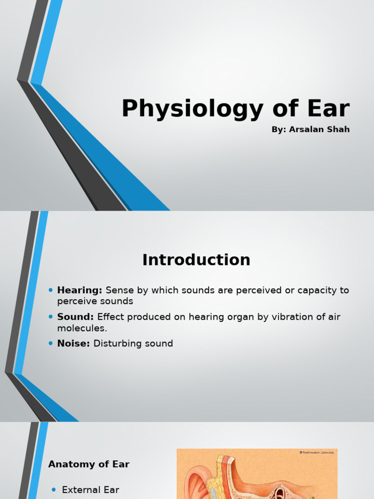 Anatomy and Physiology of the Ear | PDF | Ear | Auditory System