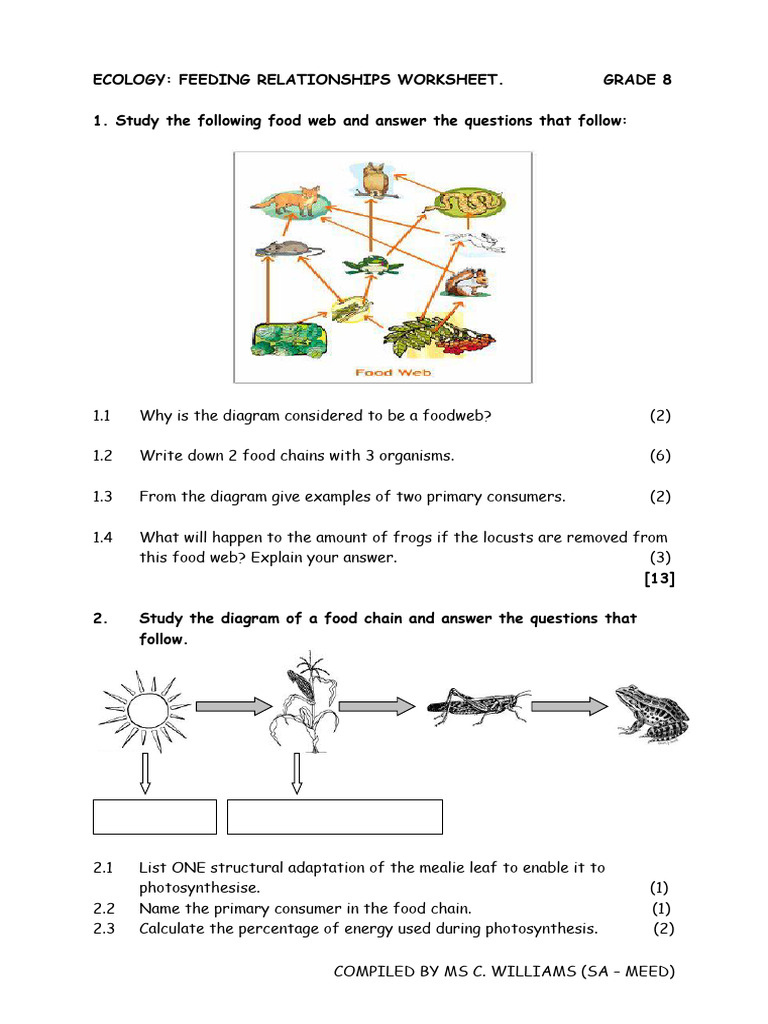 Newcomer Food Web Analysis Questions - ESL worksheet by msewhitebio, image size:768x1024