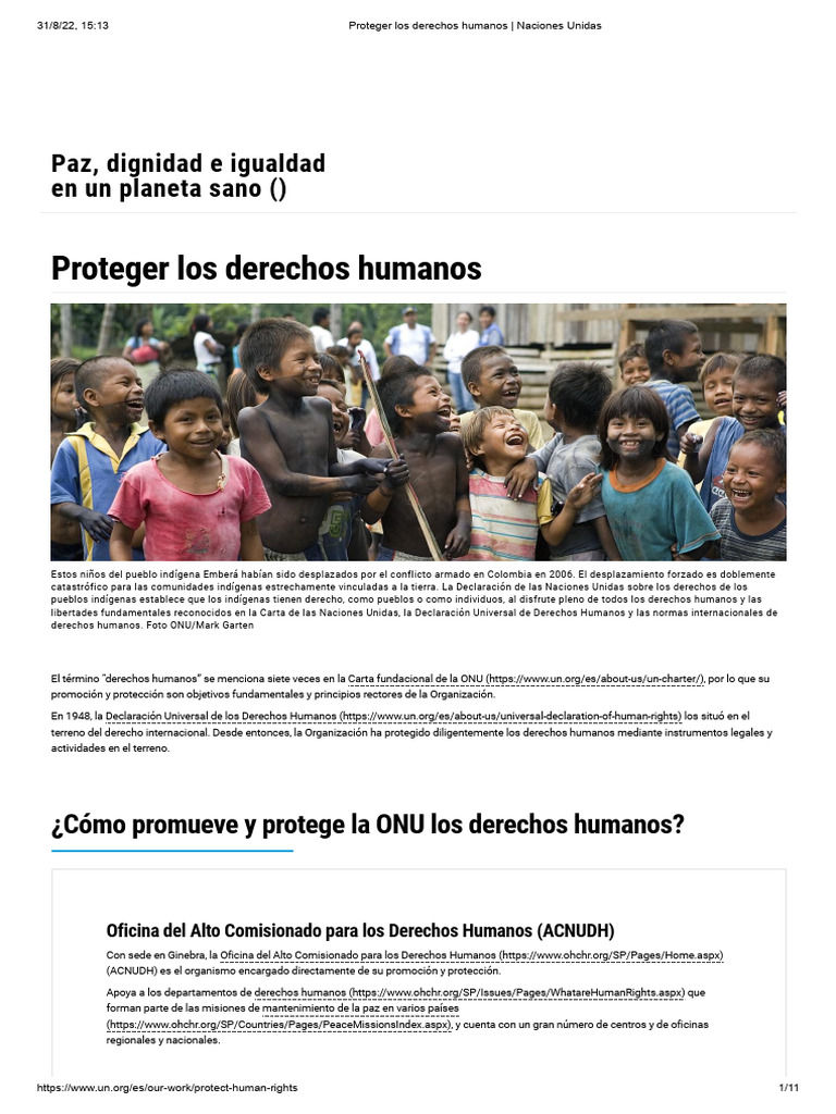 Protección de Derechos Humanos en la ONU | PDF | Naciones Unidas ...