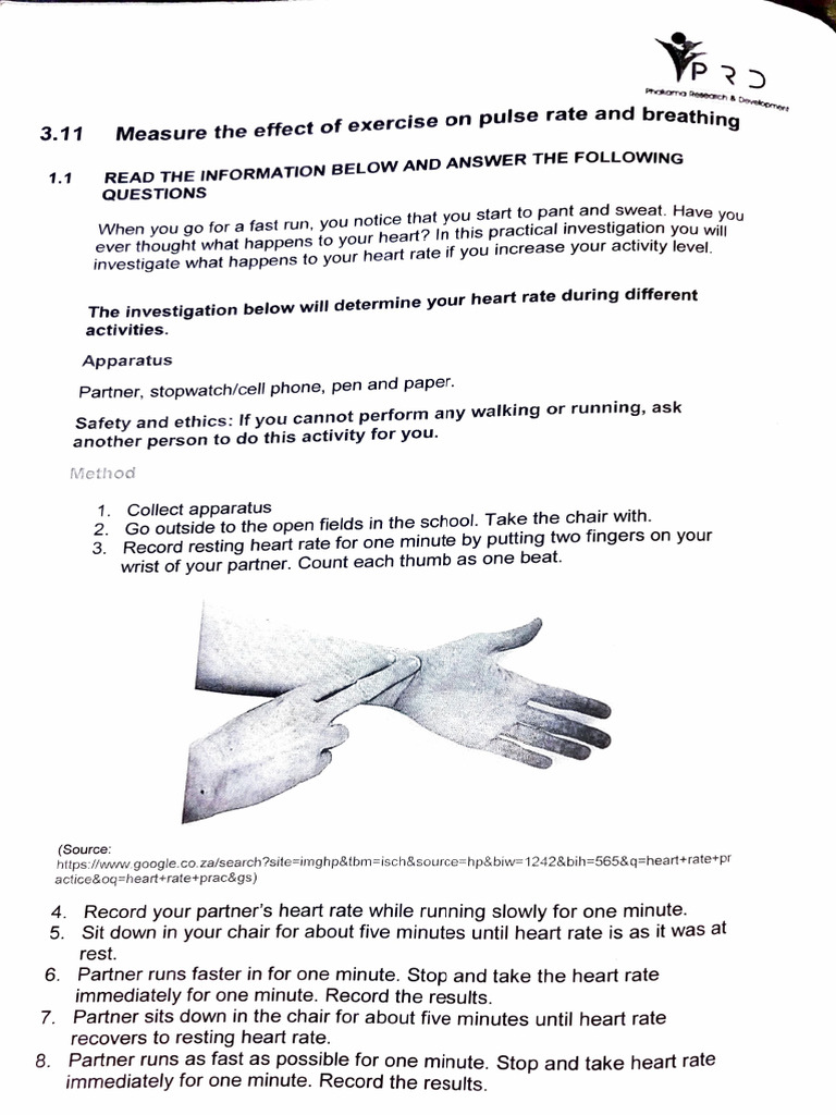 Practical Investigation Example Gr11 | PDF