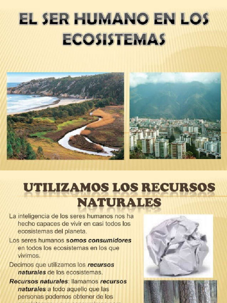 El Ser Humano y Los Ecosistemas y Tipos de Contaminación Ambiental | PDF
